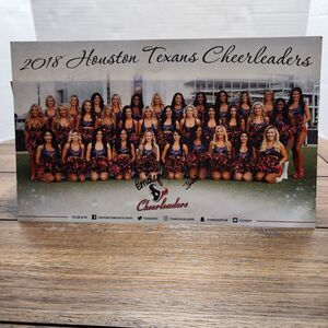 2018 Houston Texans Cheerleaders Picture